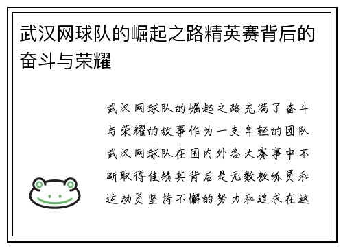 武汉网球队的崛起之路精英赛背后的奋斗与荣耀